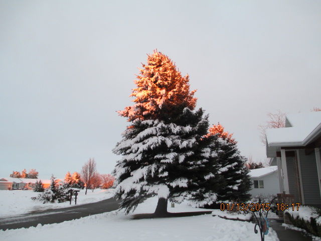 Snow